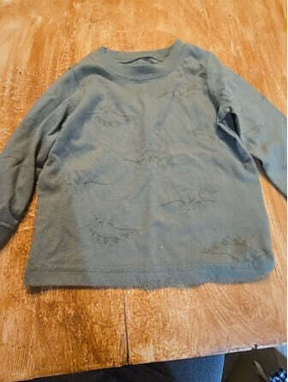 Green Carters Dinosaur long sleeve shirt, 12M B